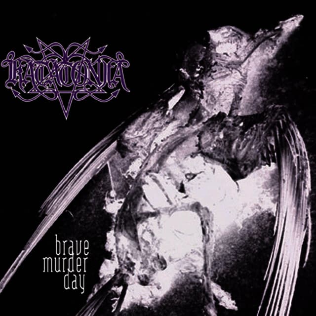 Album cover art for Brave Murder Day