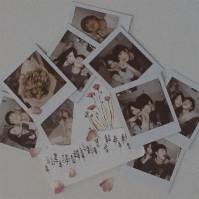 Album cover art for The End Of Love