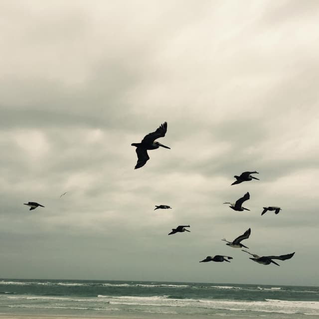 Album cover art for In a Moment: Music for Piano and Strings