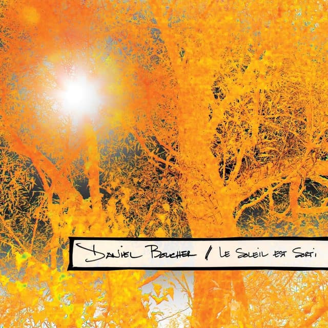 Album cover art for Le Soleil Est Sorti