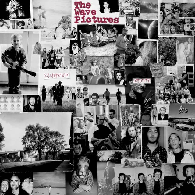 Album cover art for Gained / Lost