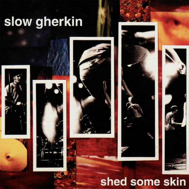 Album cover art for Shed Some Skin
