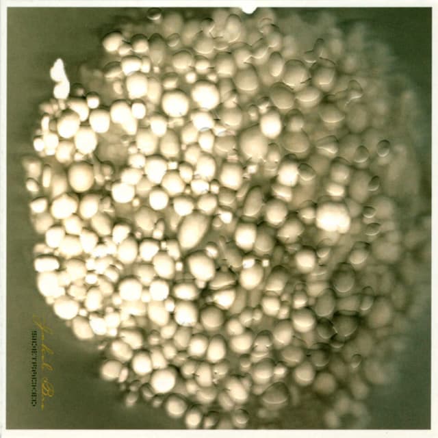 Album cover art for Sidetracked