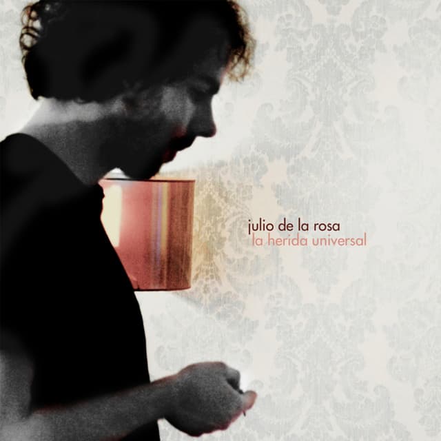 Album cover art for La herida universal