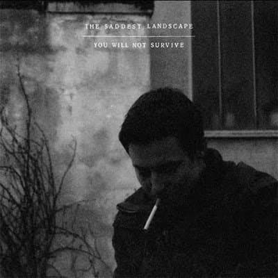 Album cover art for You Will Not Survive