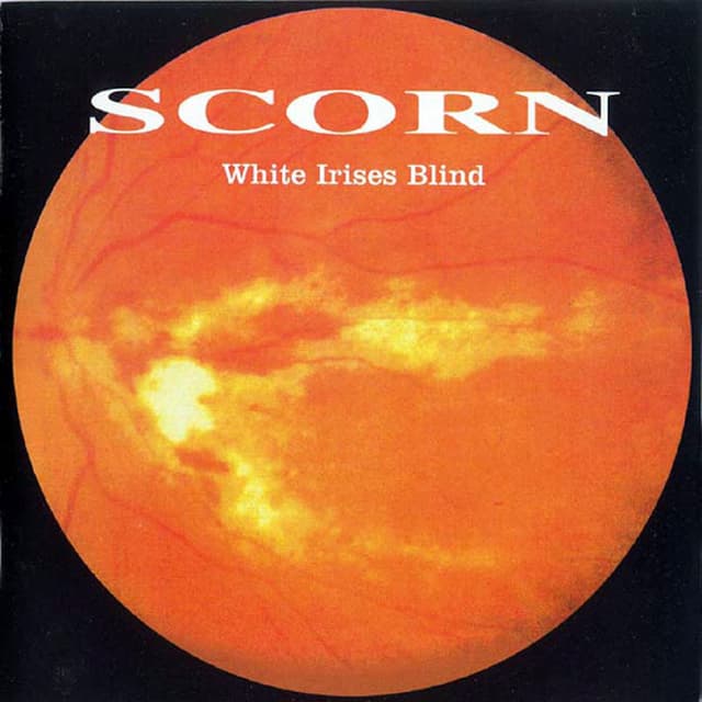 Album cover art for White Irises Blind