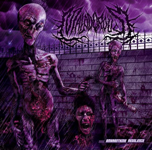 Album cover art for Amaranthine Redolence