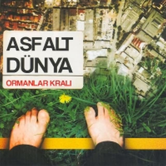 Album cover art for Ormanlar Kralı