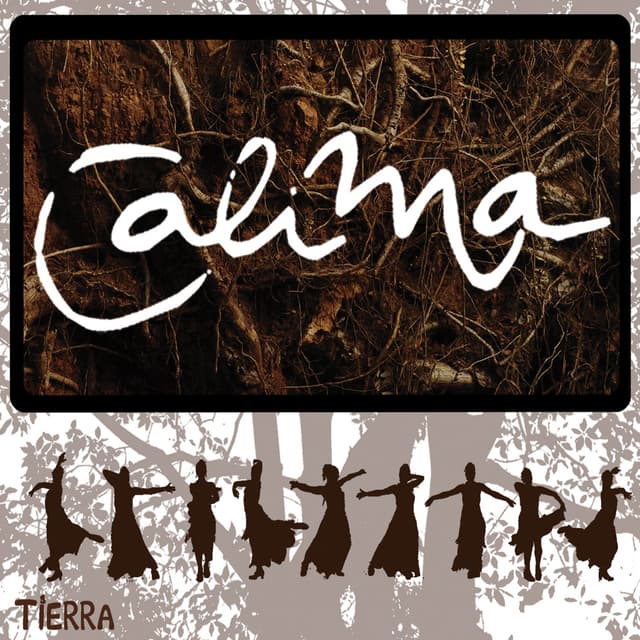 Album cover art for Tierra