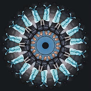 Album cover art for Professor @ Large