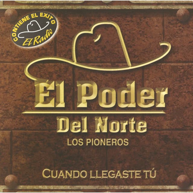 Album cover art for Cuando Llegaste Tú