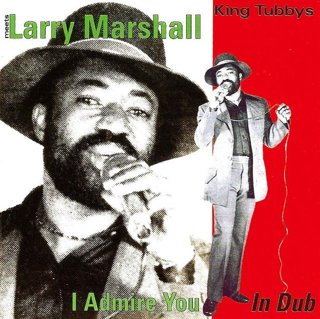 Album cover art for I Admire You In Dub