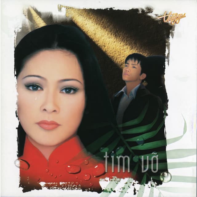 Album cover art for Tim vỡ