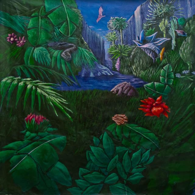 Album cover art for Jungle des Illusions Vol. 1