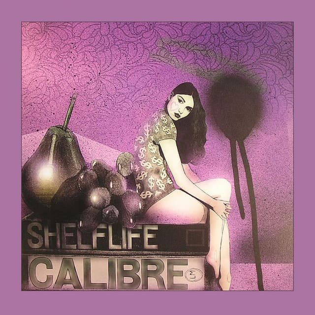 Album cover art for Shelflife