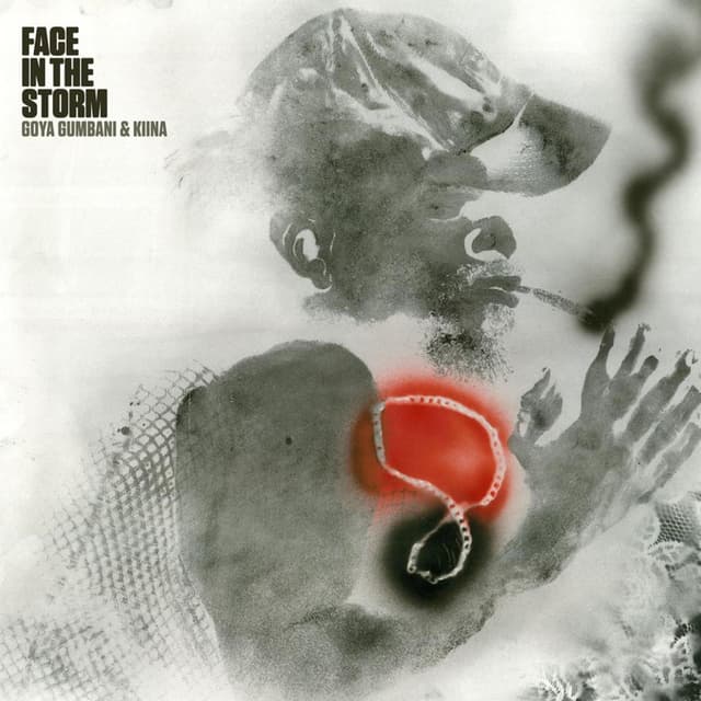 Album cover art for Face in the Storm