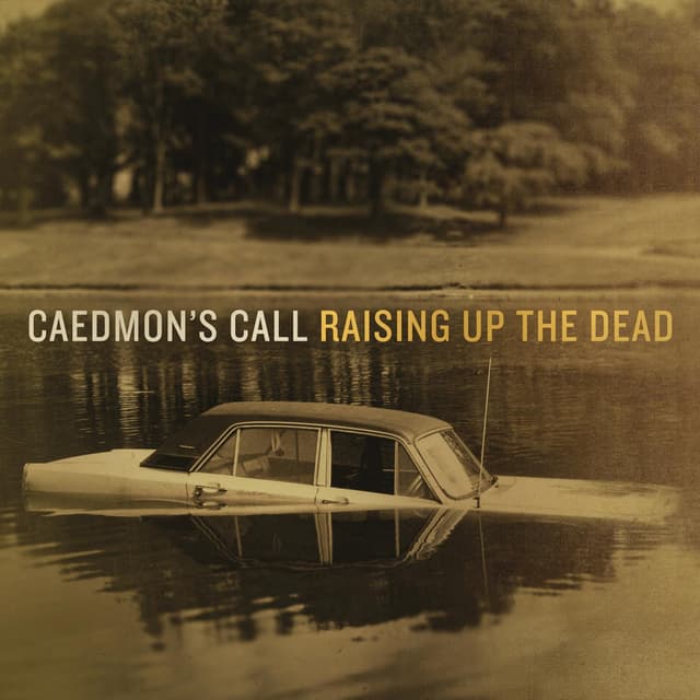 Album cover art for Raising Up The Dead
