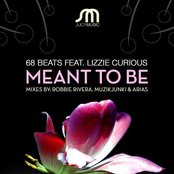 Album cover art for Meant To Be