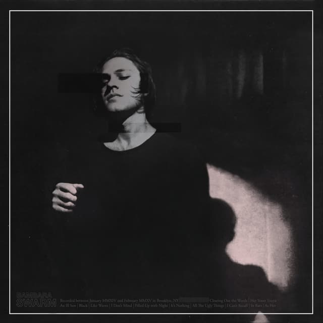 Album cover art for SWARM