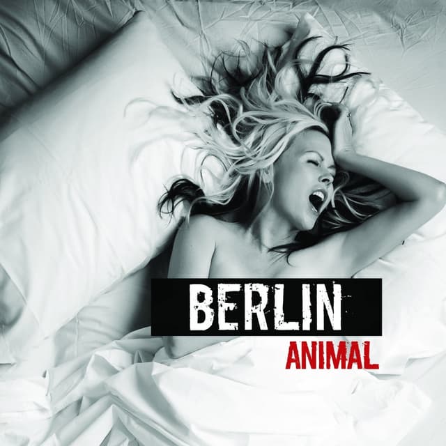 Album cover art for Animal