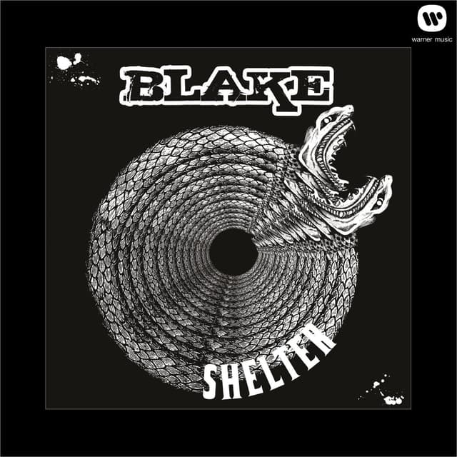 Album cover art for Shelter