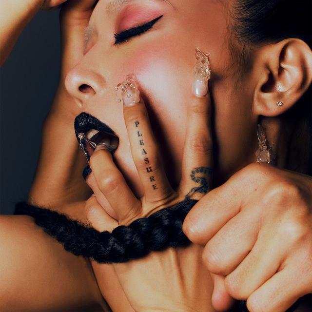 Album cover art for Pleasure