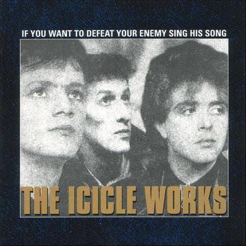 Album cover art for If You Want To Defeat Your Enemy Sing His Song