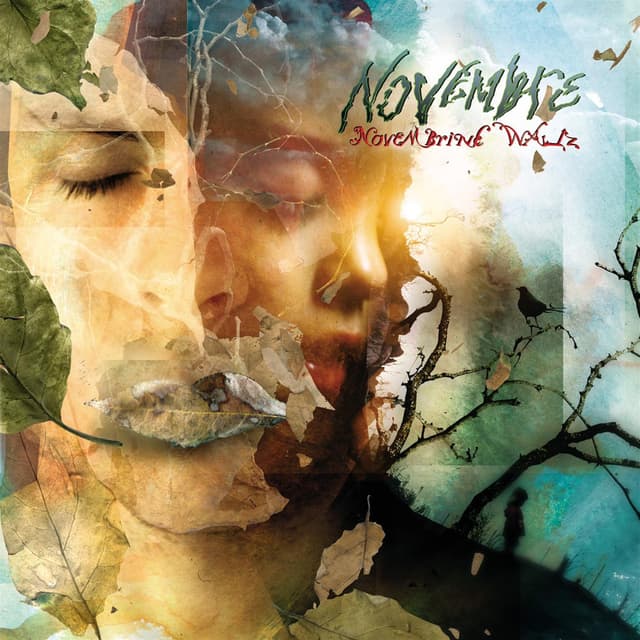 Album cover art for Novembrine Waltz