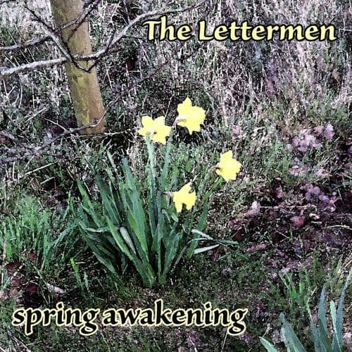Album cover art for Spring!
