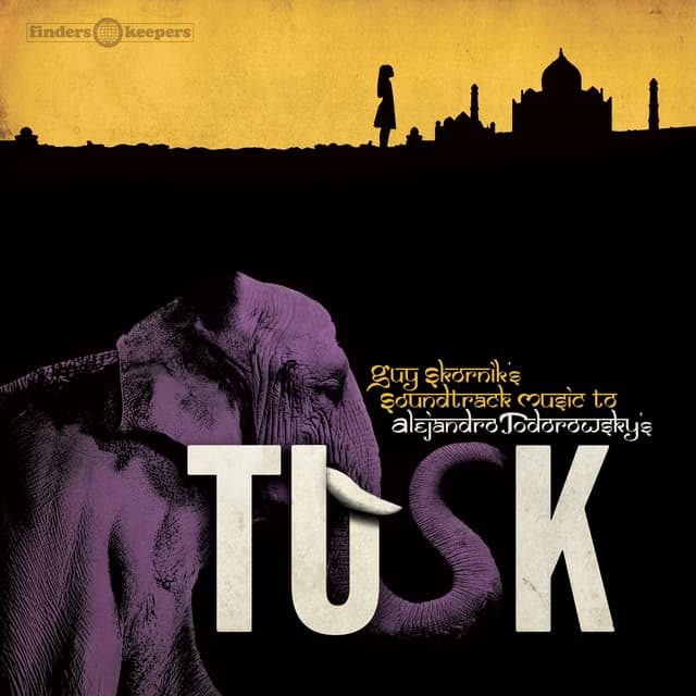 Album cover art for Tusk