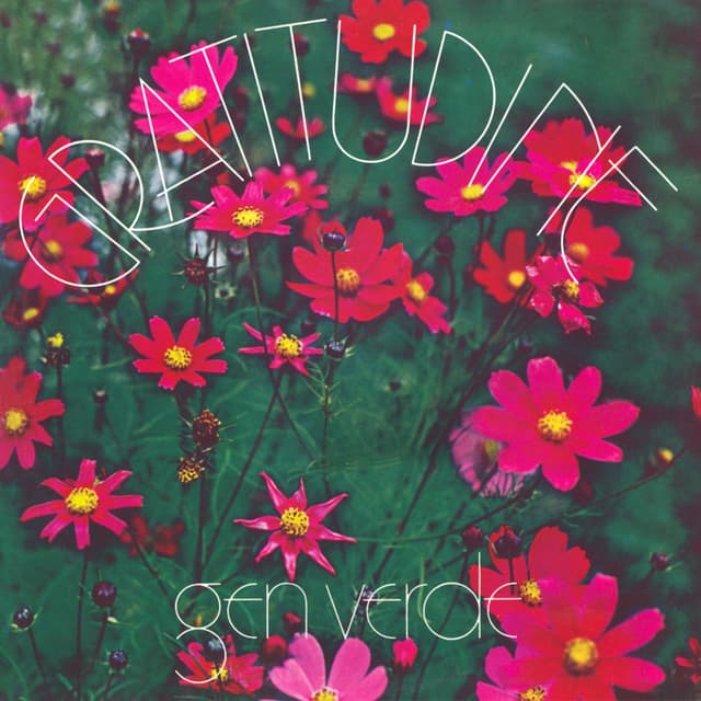 Album cover art for Gratitudine