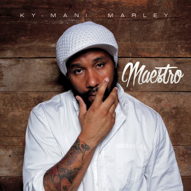 Album cover art for Maestro