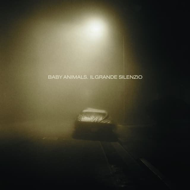 Album cover art for Il Grande Silenzio
