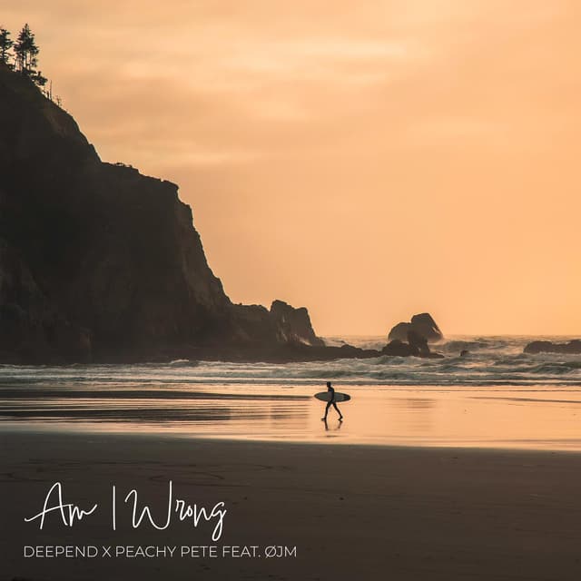 Album cover art for Am I Wrong