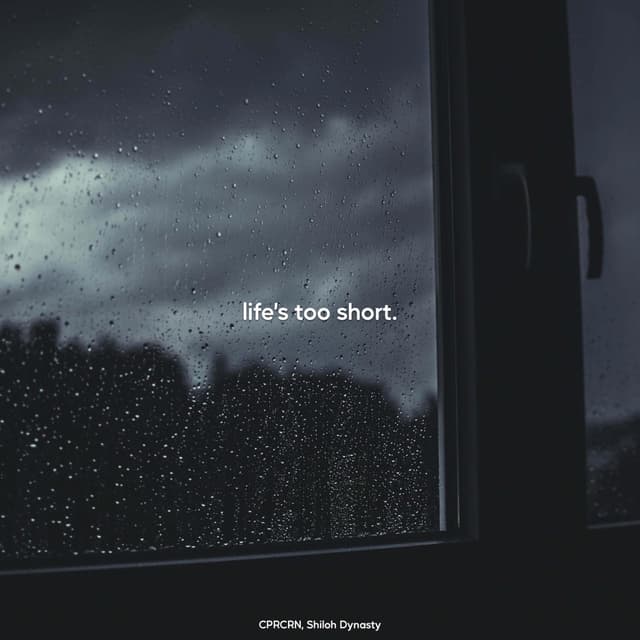 Album cover art for life's too short.