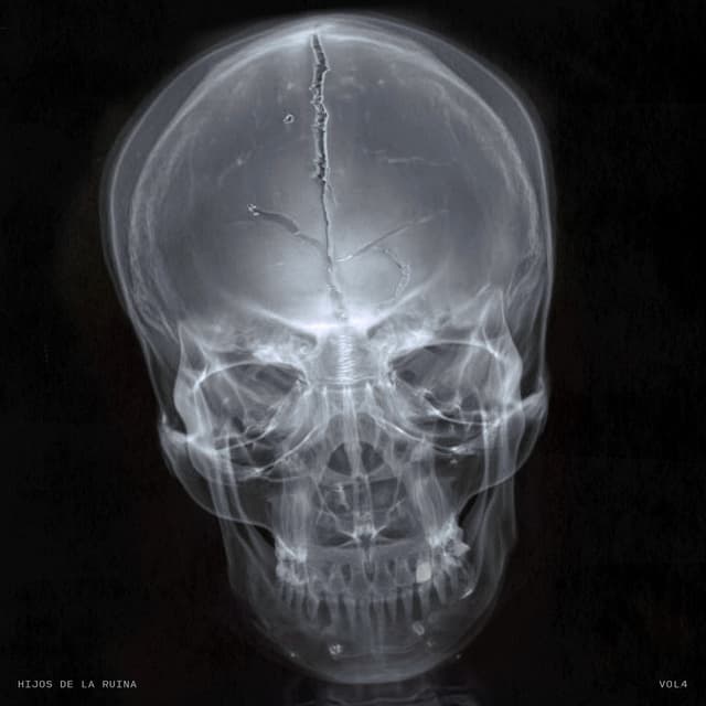 Album cover art for HIJOS DE LA RUINA VOL. 4