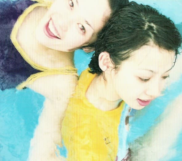 Album cover art for Punk-ish