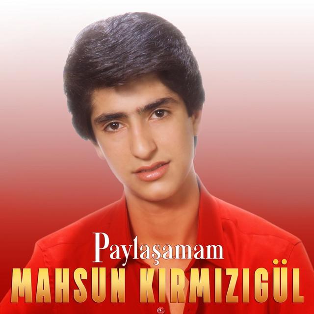 Album cover art for Paylaşamam