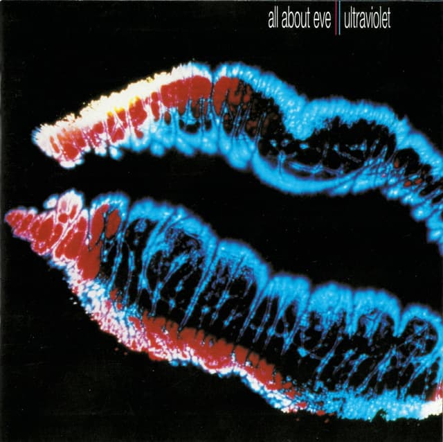 Album cover art for Ultraviolet