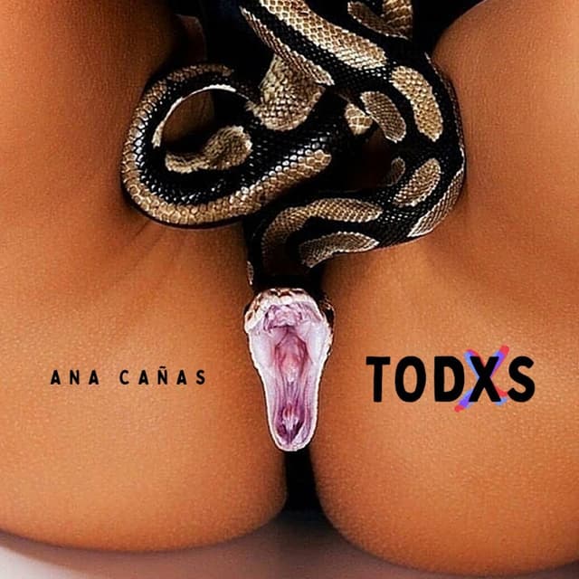Album cover art for TODXS