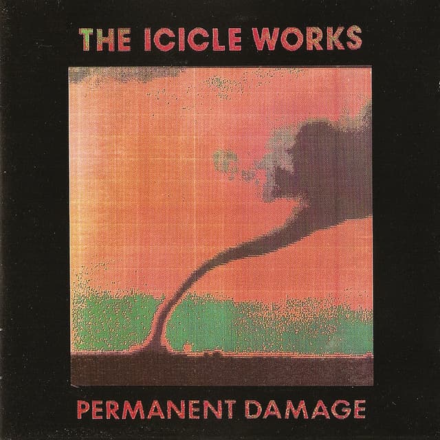 Album cover art for Permanent Damage