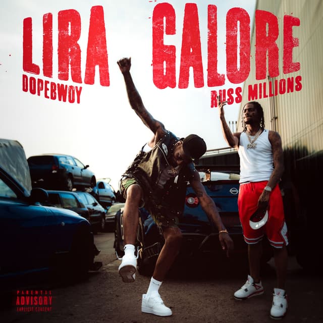 Album cover art for Lira Galore