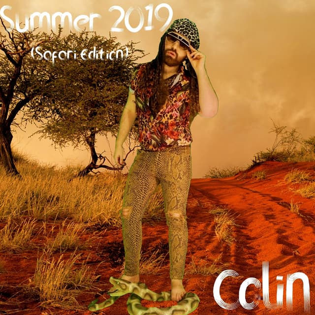 Album cover art for Summer 2019 (Safari Edit)