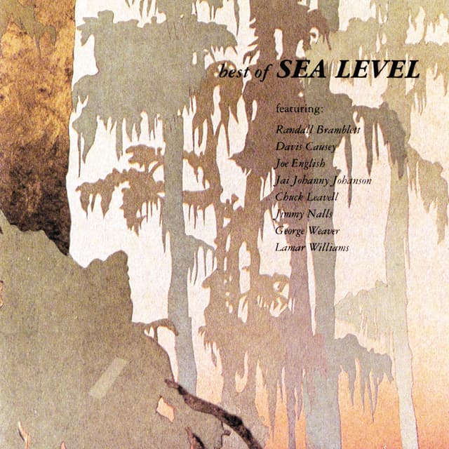 Album cover art for Best of Sea Level