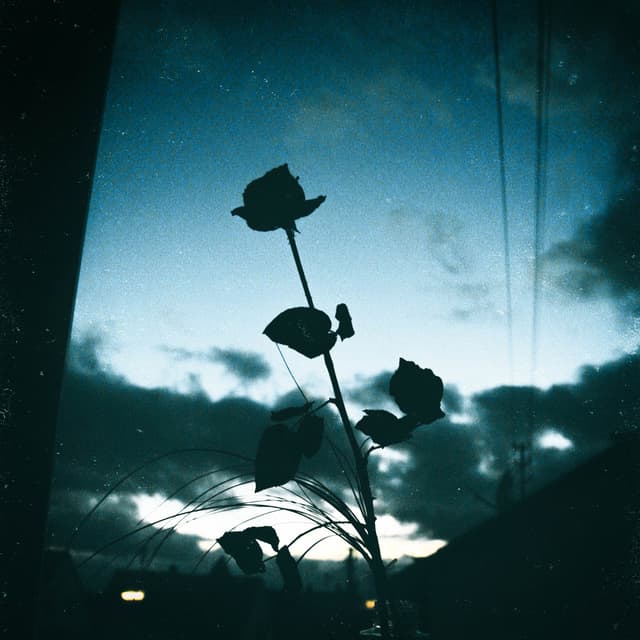 Album cover art for letting go