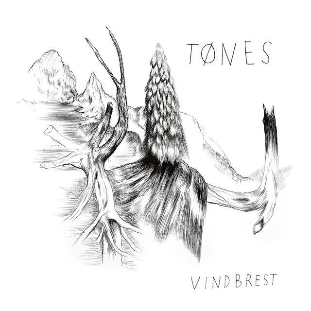 Album cover art for Vindbrest