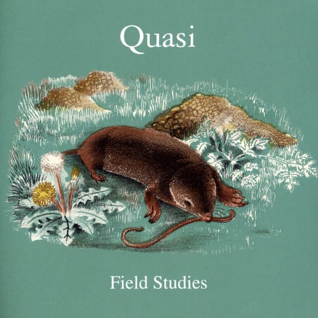 Album cover art for Field Studies