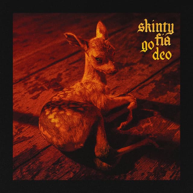 Album cover art for Skinty Fia go deo