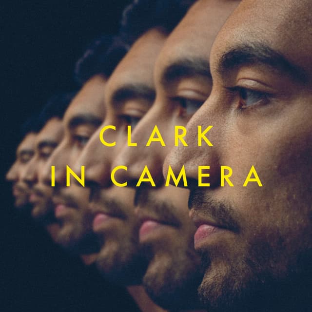 Album cover art for In Camera