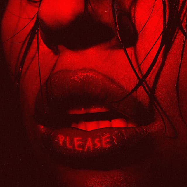 Album cover art for PLEASE